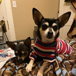 Meet your Posher, Irene